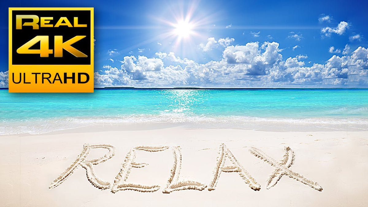 4K Relaxing & Satisfying Ocean Beach Waves and Birds Sounds - Video Download