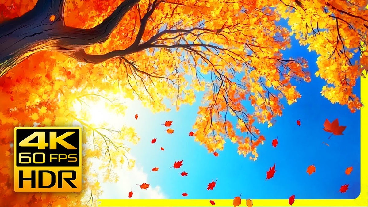 Amazing Autumn Forest & Relaxing Piano Music - Video Download