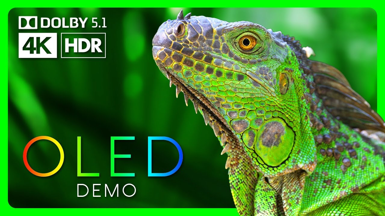 Incredible Nature Colors in 4K HDR - Video Download